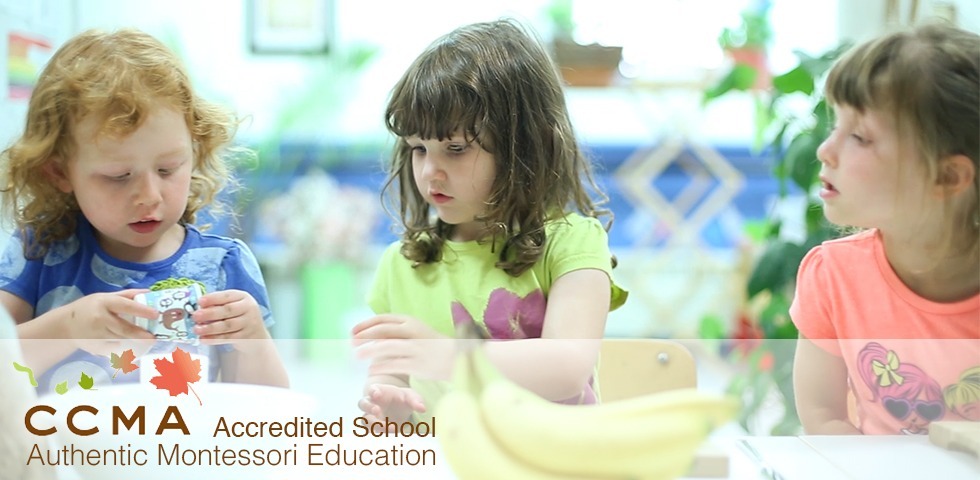 Guelph Montessori Schools