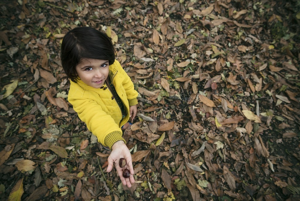 A child in a yellow coat stands amidst fallen autumn leaves, extending a hand holding seeds, looking up with a curious expression.
