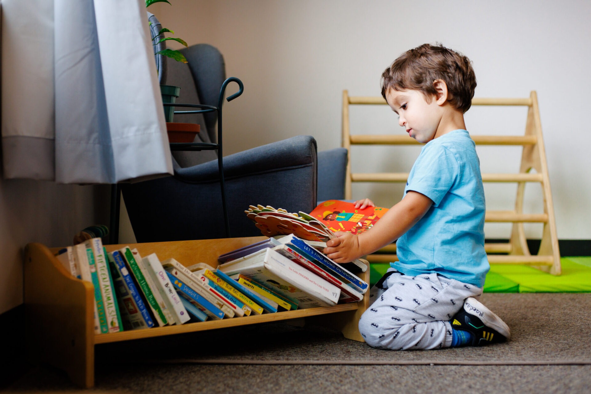 Montessori School of Wellington in Guelph