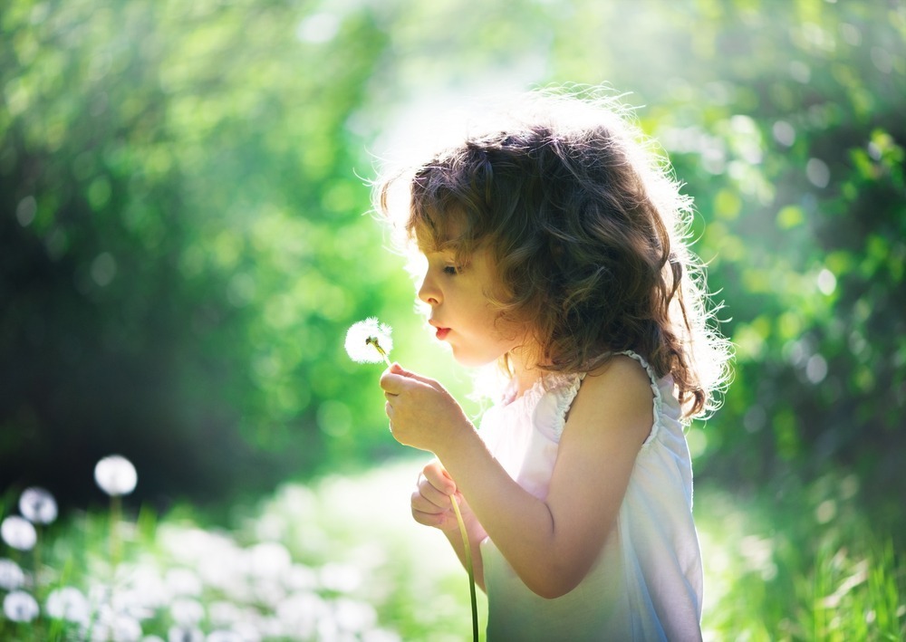 A child in a sunlit field blows on a dandelion, surrounded by lush green foliage and soft-focus white flowers.