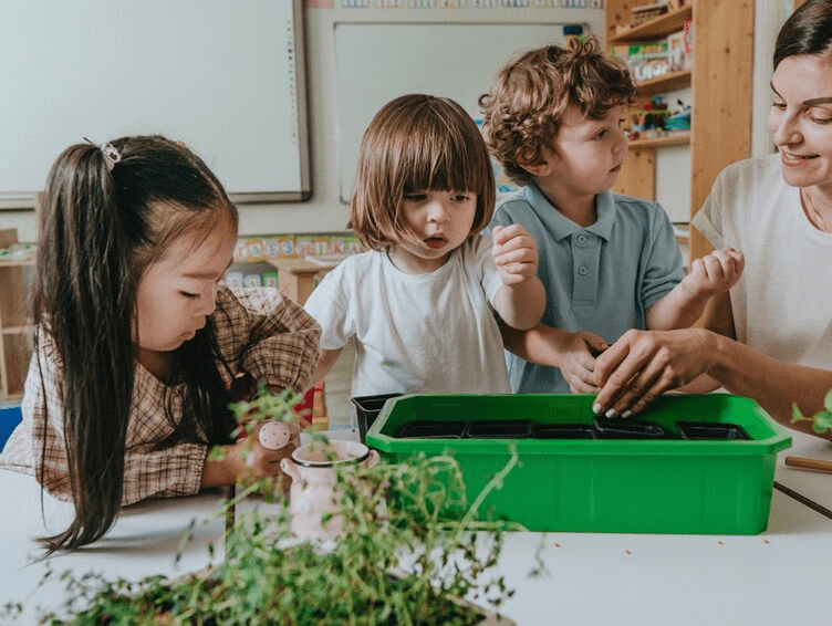 participating in a gardening project.